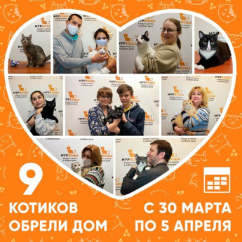 Итоги работы приюта с 30 марта по 5 апреля