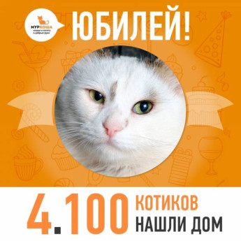 Отправился домой 4100-ый счастливец, котик Шуберт!