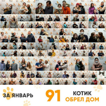 Итоги работы Adoption центра за январь за 2021г.