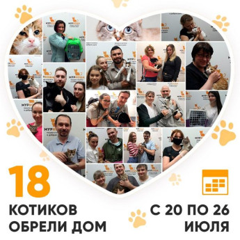 Итоги работы Adoption центра с 20 по 26 июля