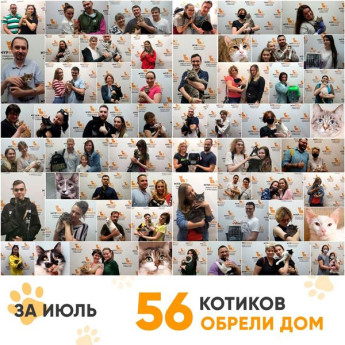 Итоги работы Adoption центра за июль 2020