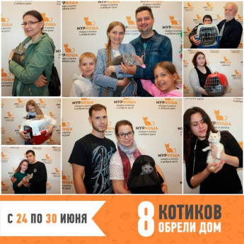 Итоги работы с 24 по 30 июня