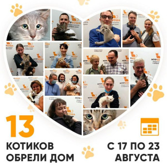 Итоги работы Adoption центра с 17 по 23 августа