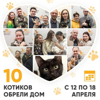 Итоги работы Adoption центра с 12 по 18 апреля 2021г.