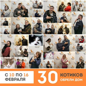 Итоги работы приюта с 10 по 16 февраля