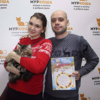 Итоги работы с 8 по 14 января 2018