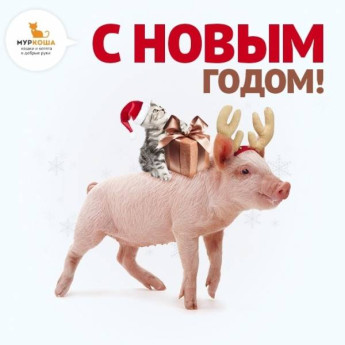 Итоги 2018 года