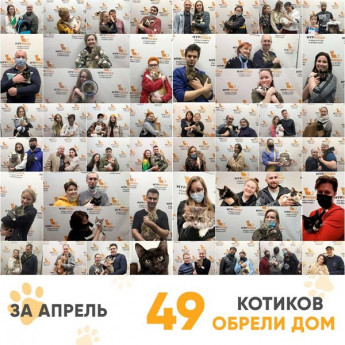 Итоги работы Adoption центра за апрель 2021г.