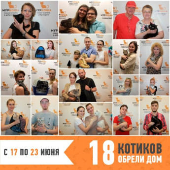 Итоги работы с 17 по 23 июня