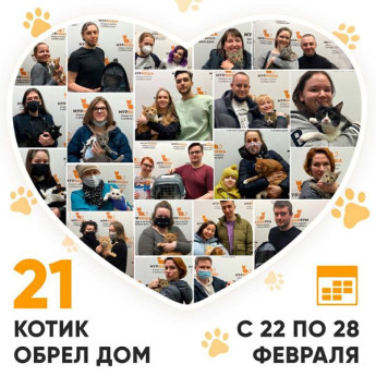 Итоги работы Adoption центра с 22 по 28 февраля 2021г.
