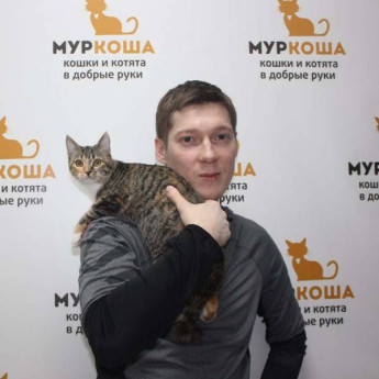 Итоги работы с 18 по 24 декабря 2017