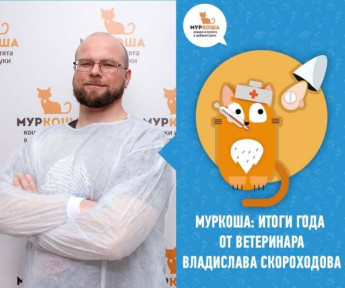Профессиональные итоги 2017 года