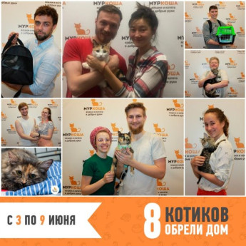 Итоги работы с 3 по 9 июня