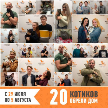 Итоги работы с 29 июля по 5 августа