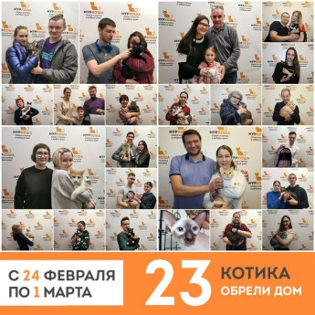 Итоги работы приюта с 24 февраля по 1 марта