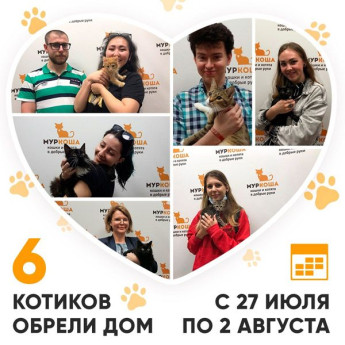 Итоги работы Adoption центра с 27 июля по 2 августа
