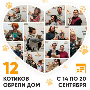 Итоги работы Adoption центра с 14 по 20 сентября