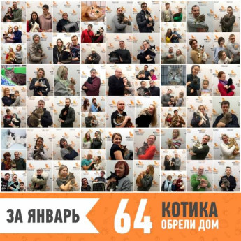Итоги работы за январь 2019
