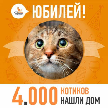 Команда приюта "Муркоша" отдала в добрые руки кошечку Георгину, которая стала юбилейной,4000-ой выпускницей!!!