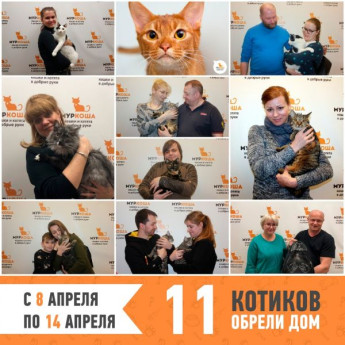 Итоги работы с 8 по 14 апреля