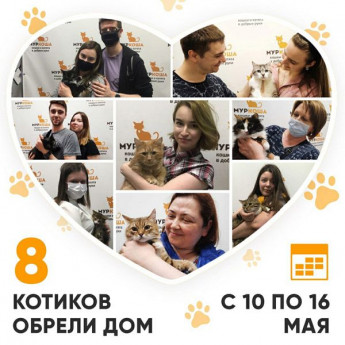 Итоги работы Adoption центра с 10 по 16 мая 2021г.