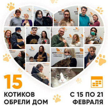 Итоги работы Adoption центра с 15 по 21 февраля 2021г.
