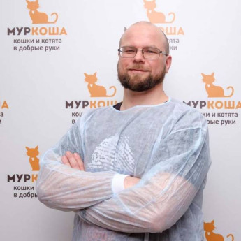 Отчет ветеринарного врача. Февраль 2018