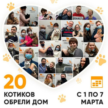 Итоги работы Adoption центра с 1 по 7 марта 2021г.
