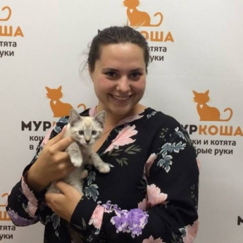 Итоги работы с 1 по 9 сентября