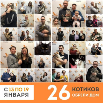 Итоги работы приюта с 13 по 19 января