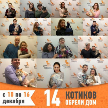 Итоги работы с 10 по 16 декабря