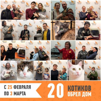 Итоги работы с 25 февраля по 3 марта