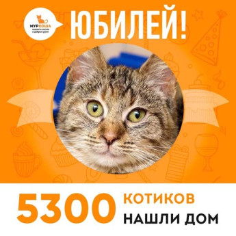 Кошечка Шуня стала 5300-ой выпускницей "Муркоши"!