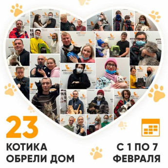 Итоги работы Adoption центра с 1 по 7 февраля 2021г.