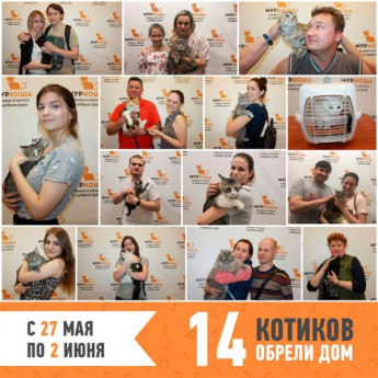 Итоги работы с 27 мая по 2 июня