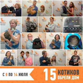 Итоги работы с 8 по 14 июля