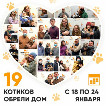 Итоги работы Adoption центра с 18 по 24 января 2021г.
