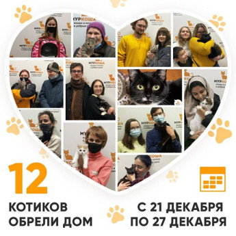 Итоги работы Adoption центра с 21 по 27 декабря