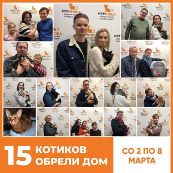 Итоги работы приюта со 2 по 8 марта