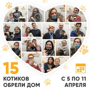 Итоги работы Adoption центра с 5 по 11 апреля 2021г.