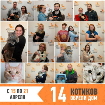 Итоги работы с 15 по 21 апреля