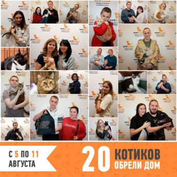 Итоги работы с 5 по 11 августа