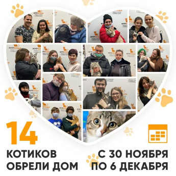 Итоги работы Adoption центра с 30 ноября по 6 декабря