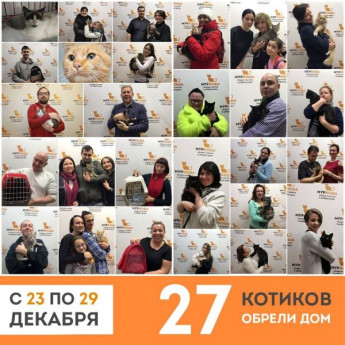 Итоги работы приюта с 23 по 29 декабря