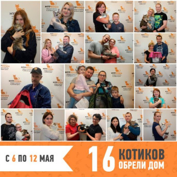 Итоги работы с 6 по 12 мая