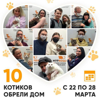 Итоги работы Adoption центра с 22 по 28 марта 2021г.