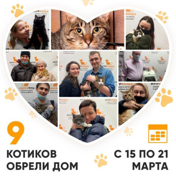 Итоги работы Adoption центра с 15 по 21 марта 2021г.