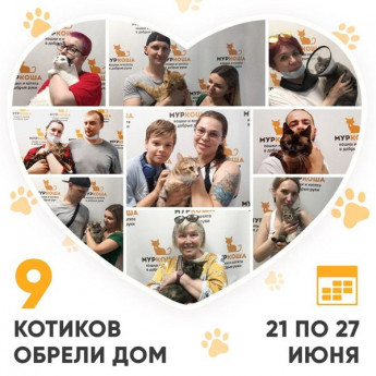 Итоги работы Adoption центра с 21 по 27 июня 2021г.