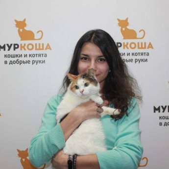 Итоги работы с 22 по 28 января 2018