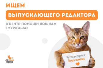Выпускающий редактор–волонтёр